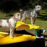 Product 1044 Climb and Sit